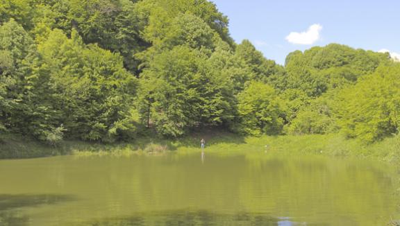 Popovičko jezero