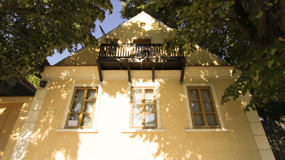 Zmaj Museum