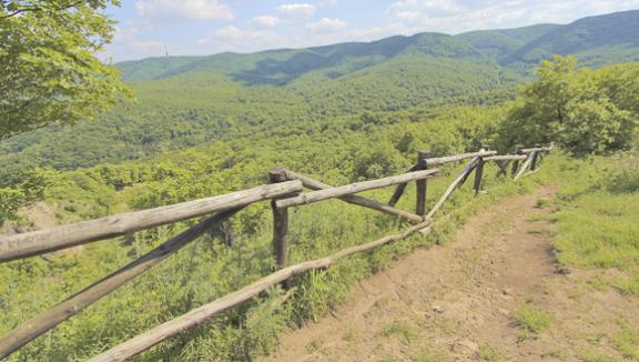 Orlovo Bojište Lookout