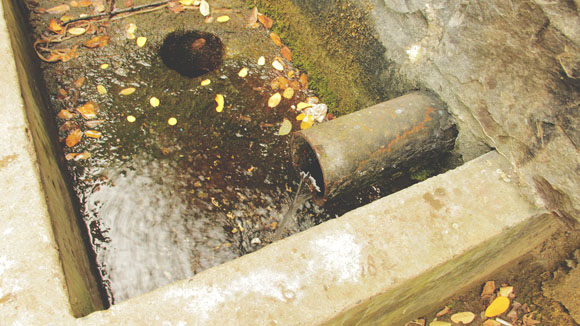 Zvečan Spring