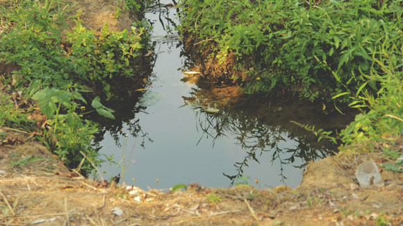 Kamarište Spring