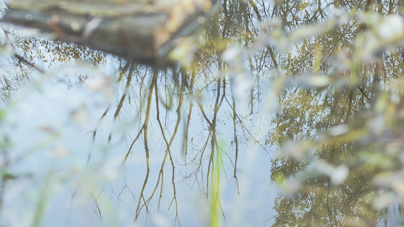 Kapavica Lake