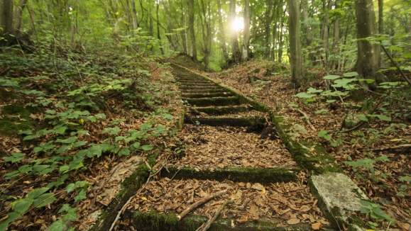 Vrdnik stairs