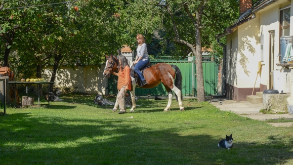"Čerević" Riding school